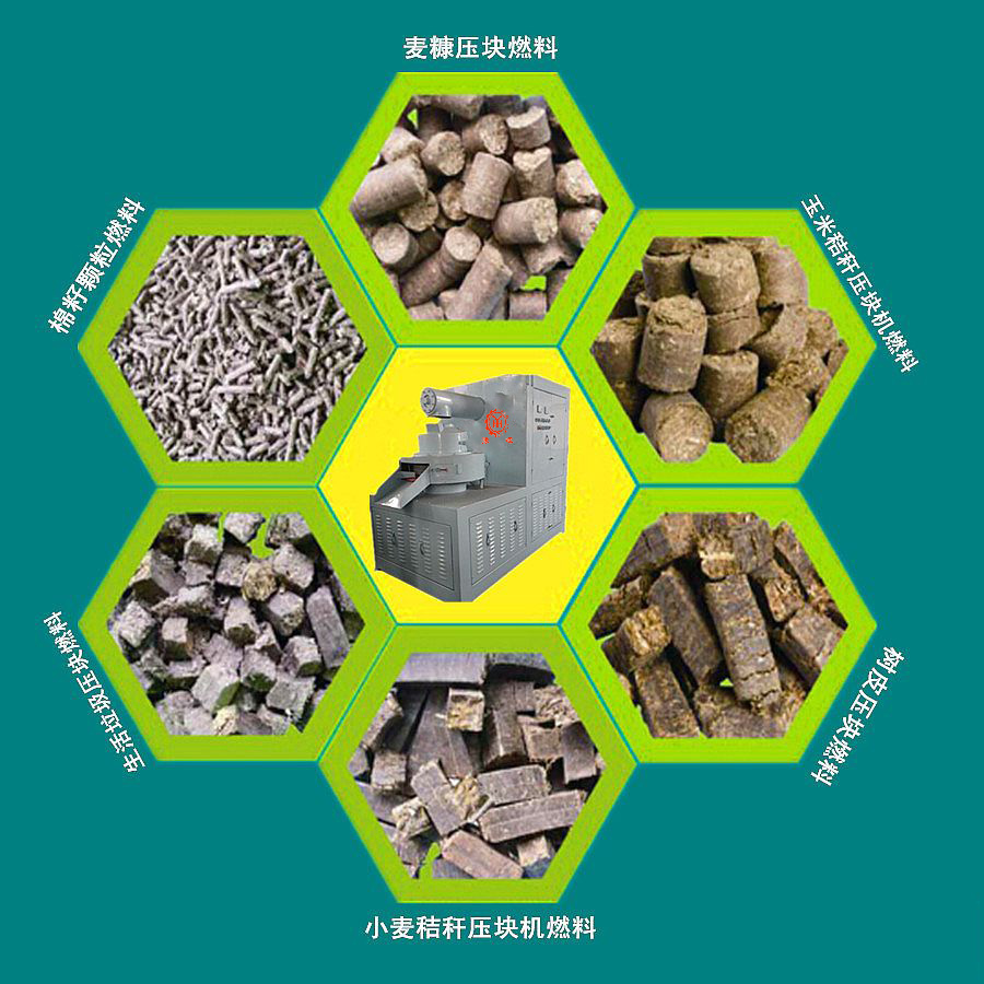 國家政策扶持，你有理由不投資生物質能源嗎？