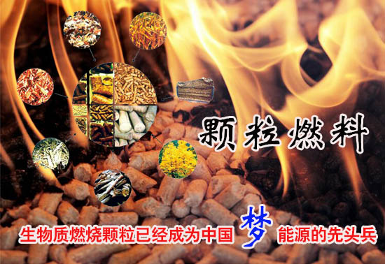 生物質(zhì)燃料顆粒多少錢一噸！