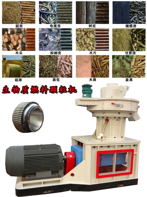 國(guó)內(nèi)外生物質(zhì)燃料顆粒機(jī)應(yīng)用現(xiàn)狀的疑問！